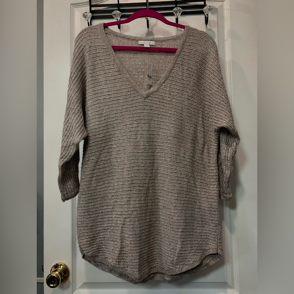 NWT NY & Company V neck Sweater